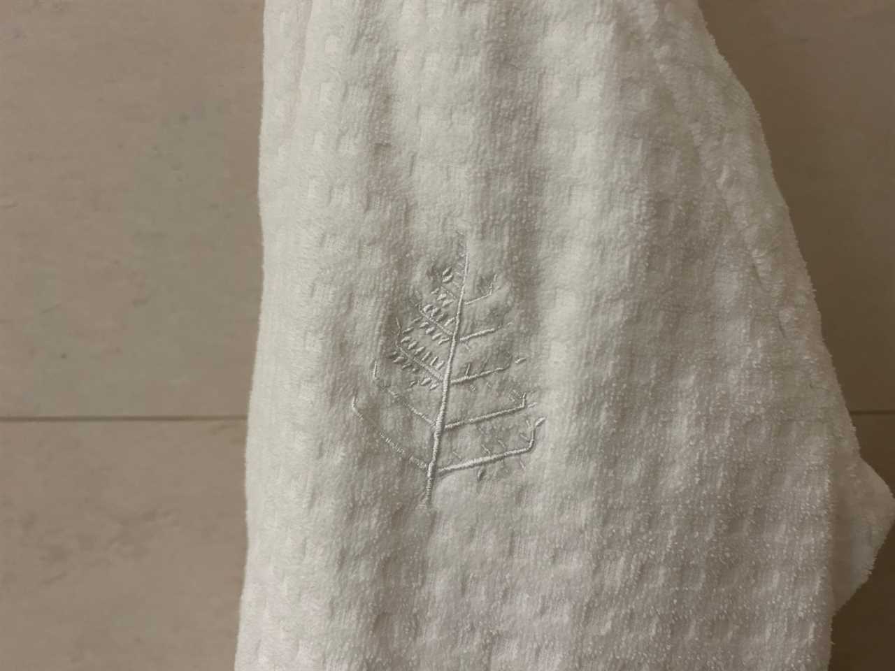 Design imprinted on towel in Disney World Four Seasons room 