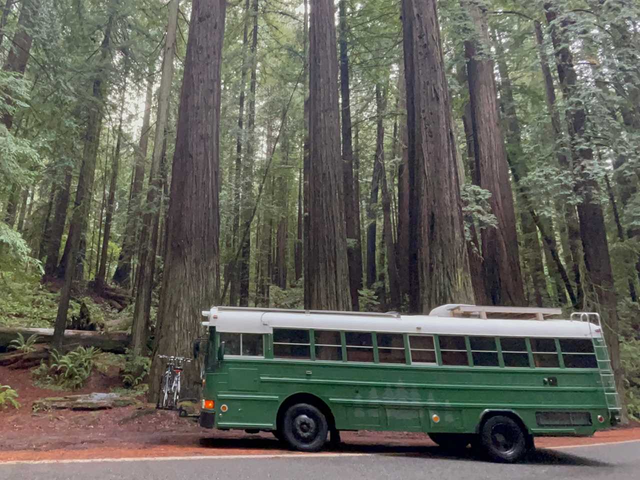 Green school bus next to giant redwood trees in forest