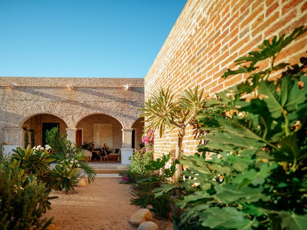 In Baja Sur, a Chef Turns a Historic Property Into a Compound for His Creative Community