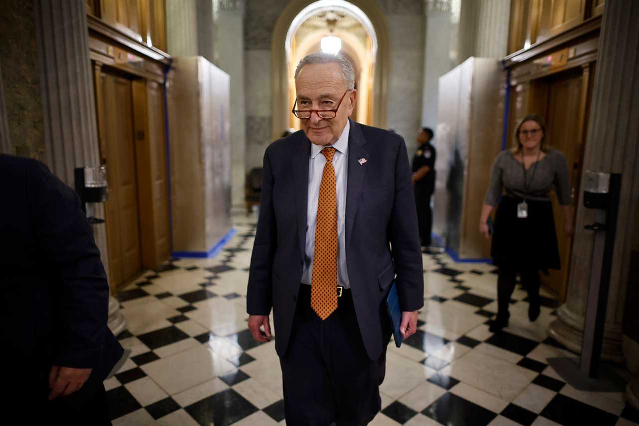 Senate Majority Leader Charles Schumer