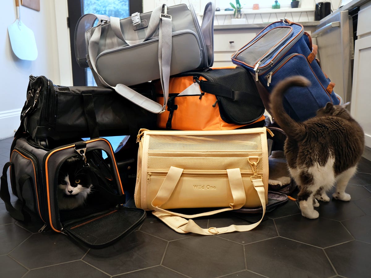 A pile of cat carriers is on the floor and one cat is insider a carrier while another is standing beside them.