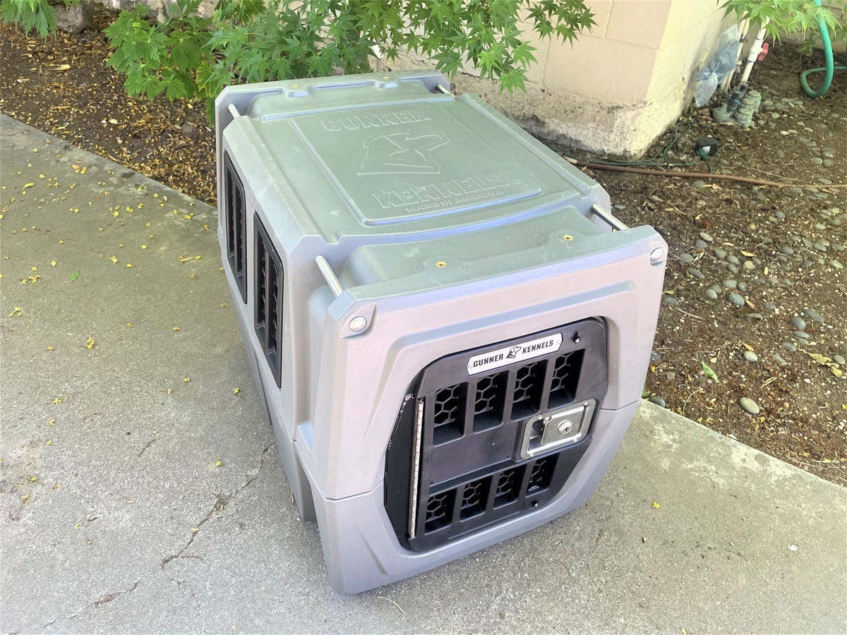 A gray plastic dog and cat kennel with a black door is shown on the ground.