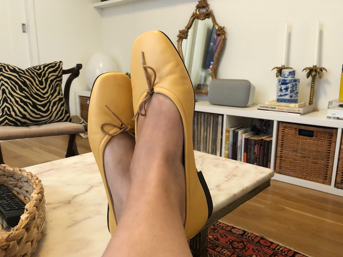 Everlane The Day Ballet Flat