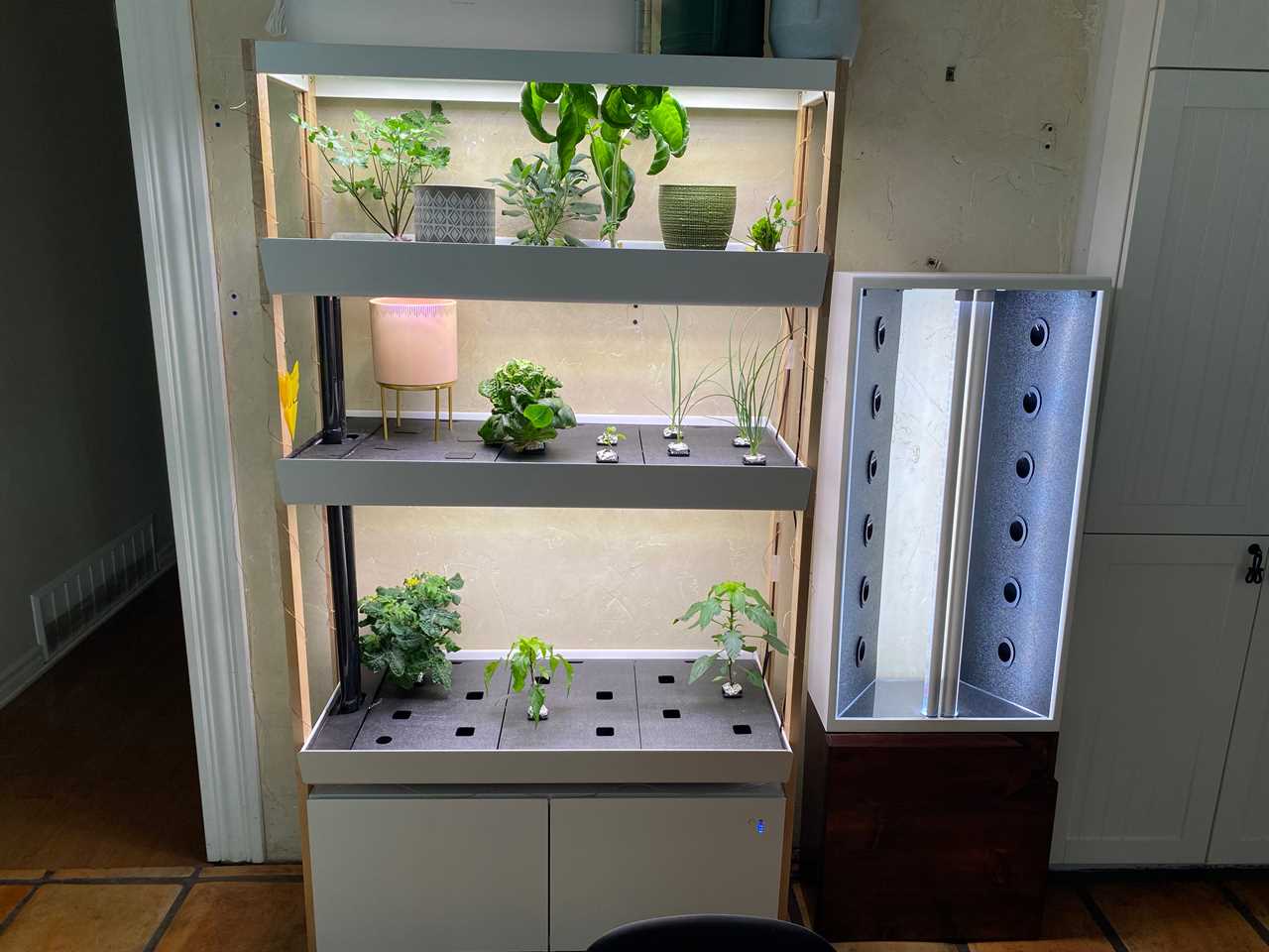 Herbs and vegetables are grown on the Rise Triple Family Garden, the best indoor garden overall in 2022.