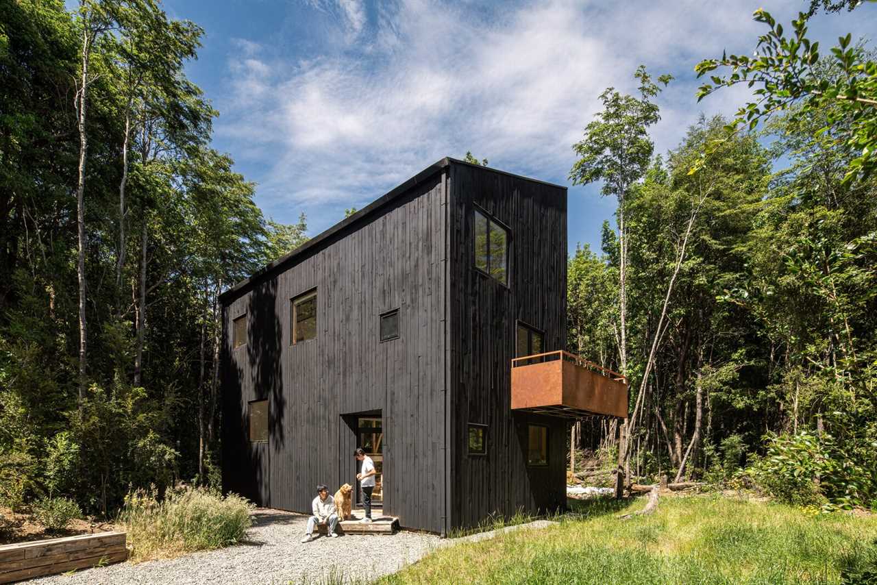 Budget Breakdown: They Built Their $60K Home to Preserve the Surrounding Forest