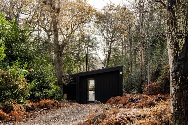 The wood-clad cabin is snuggly nestled among soaring trees and is just steps from the lake.