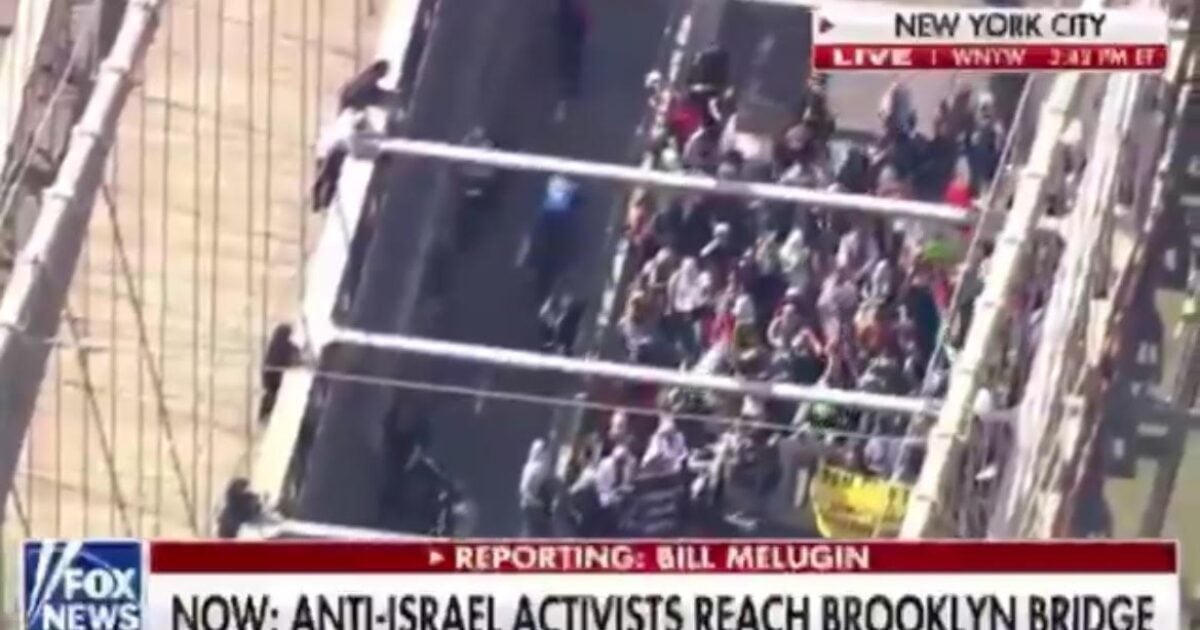 Pro-Palestine Protestors Take Over the Brooklyn Bridge, Block Traffic (VIDEO)