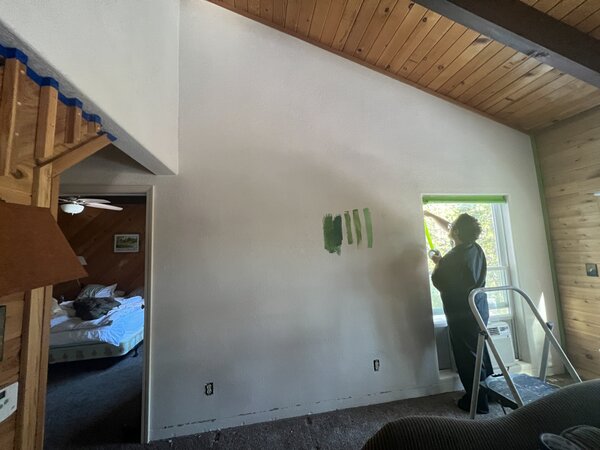 During: Robin preps the living room walls for paint. It took three coats, plus primer.