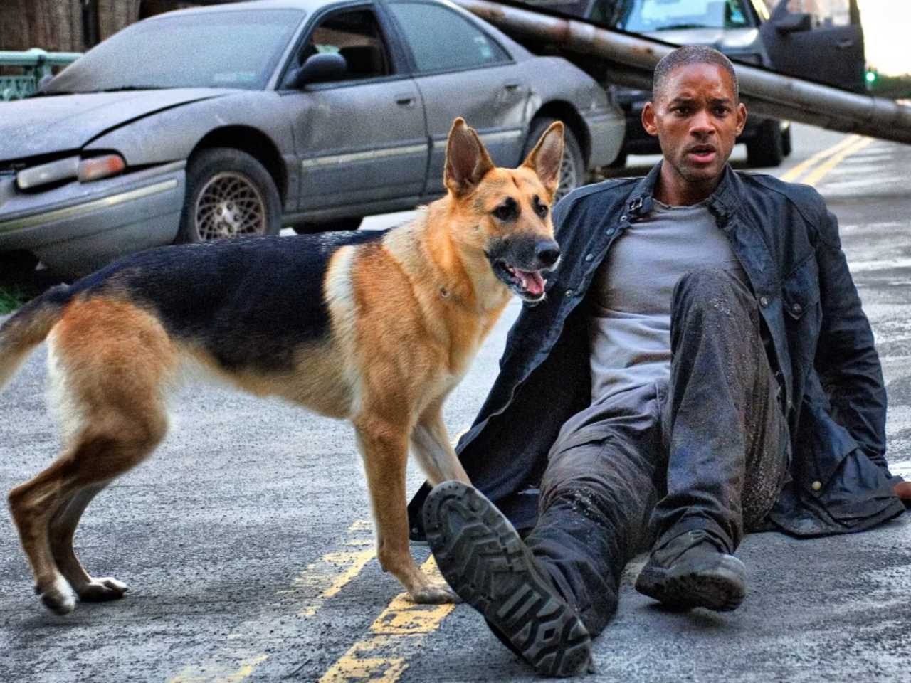 Sam  and Robert Neville (Will Smith) in "I Am Legend."
