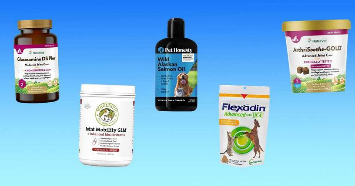 The 5 best joint supplements for dogs of 2024