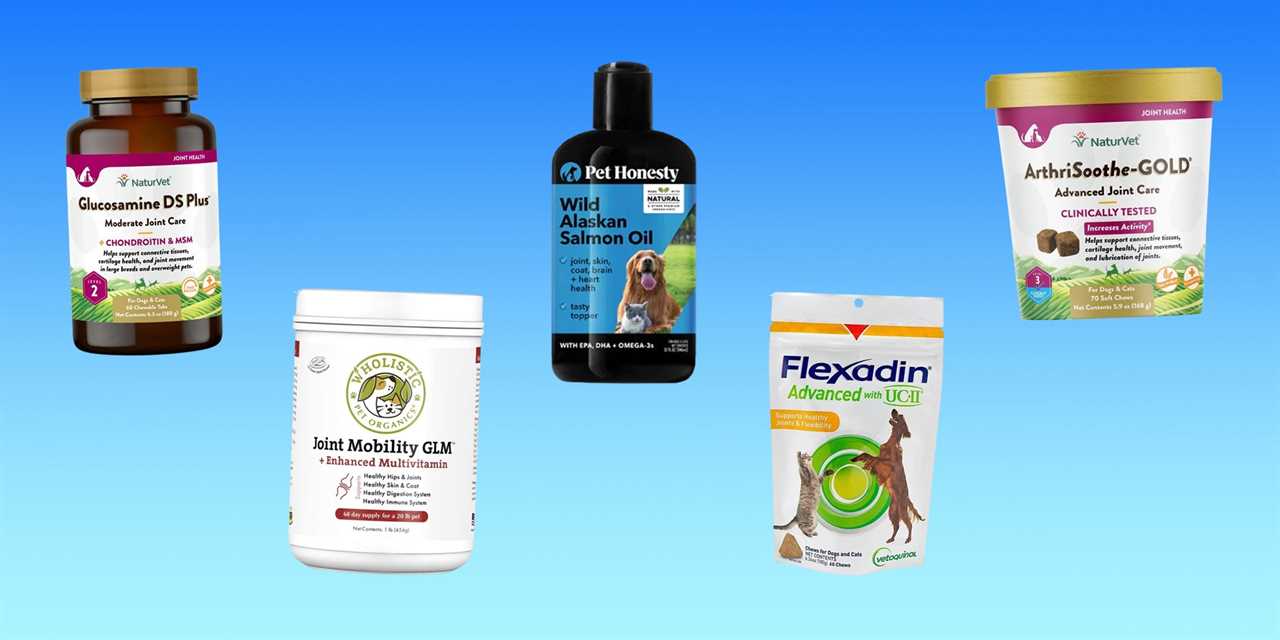 Five different joint supplements for dogs from NaturVet, Wholistic Pet Organics, Pet Honesty, and Vetoquinol are on a blue gradient background.