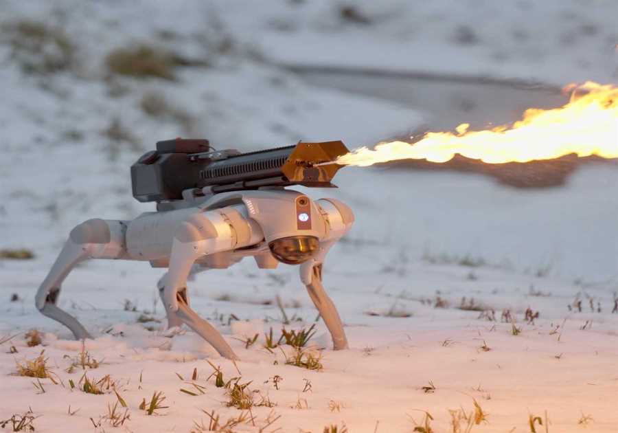 You can buy a flame-throwing robot dog for under $10,000 