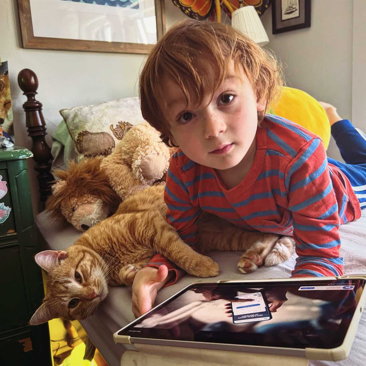 Melissa Petro's son snuggling with a cat and looking at an iPad screen on a bed.