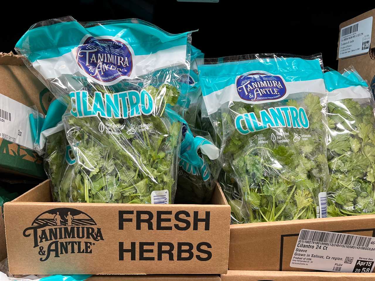 Bags of cilantro in cardboard boxes that read "Tanimura & Antle Fresh Herbs."