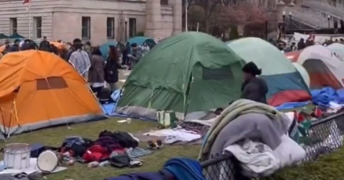 Groups Behind Protests Seizing College Campuses Get Bad News as Senators Send Letter to IRS