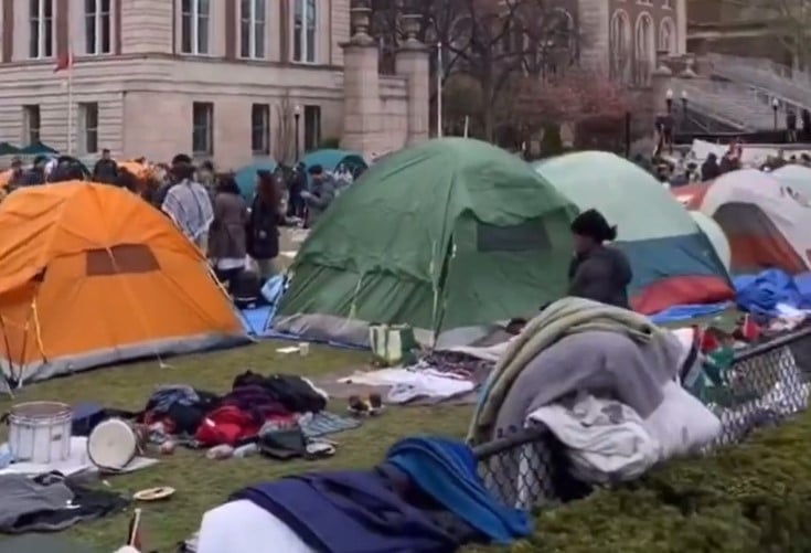 Groups Behind Protests Seizing College Campuses Get Bad News as Senators Send Letter to IRS