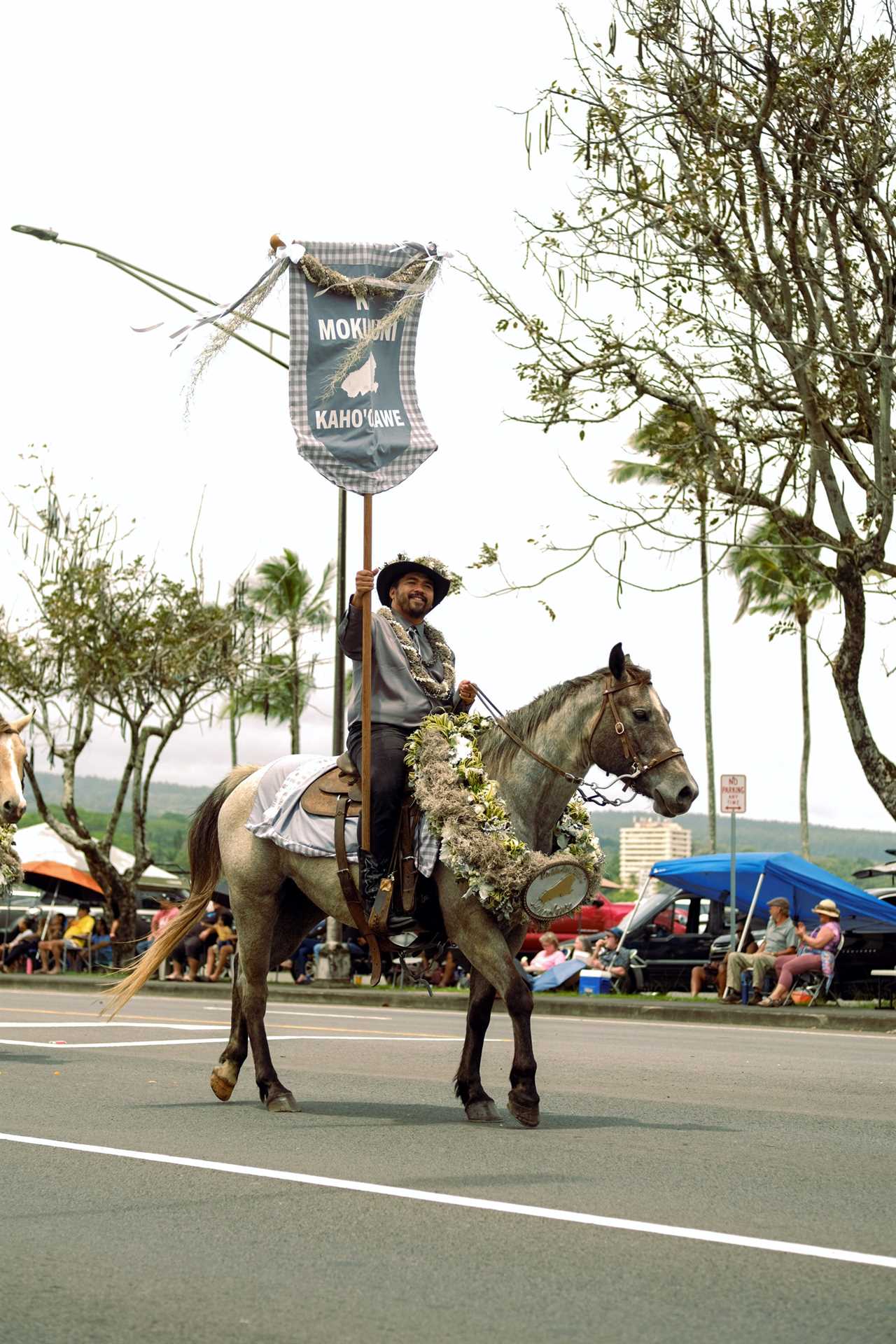 Man on a horse carrying a flag pole.