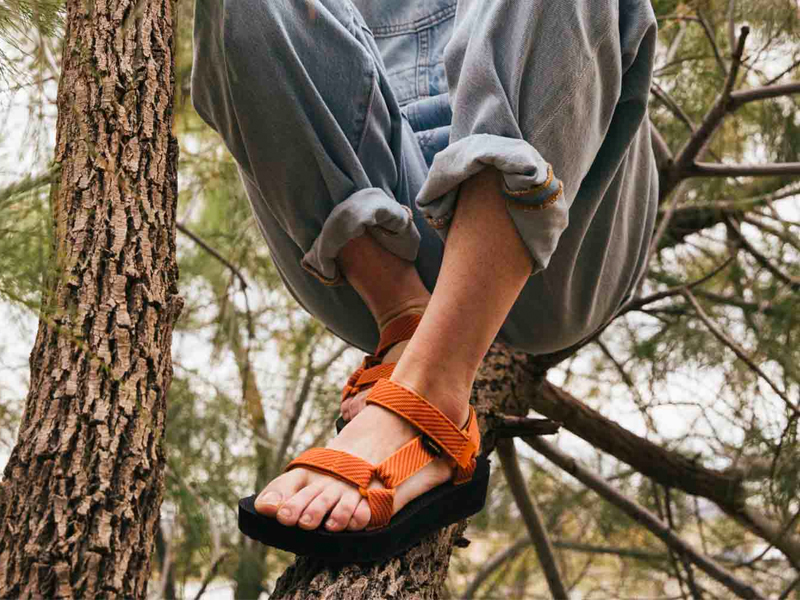 A person wearing a pair of Teva sandals sitting in a tree.