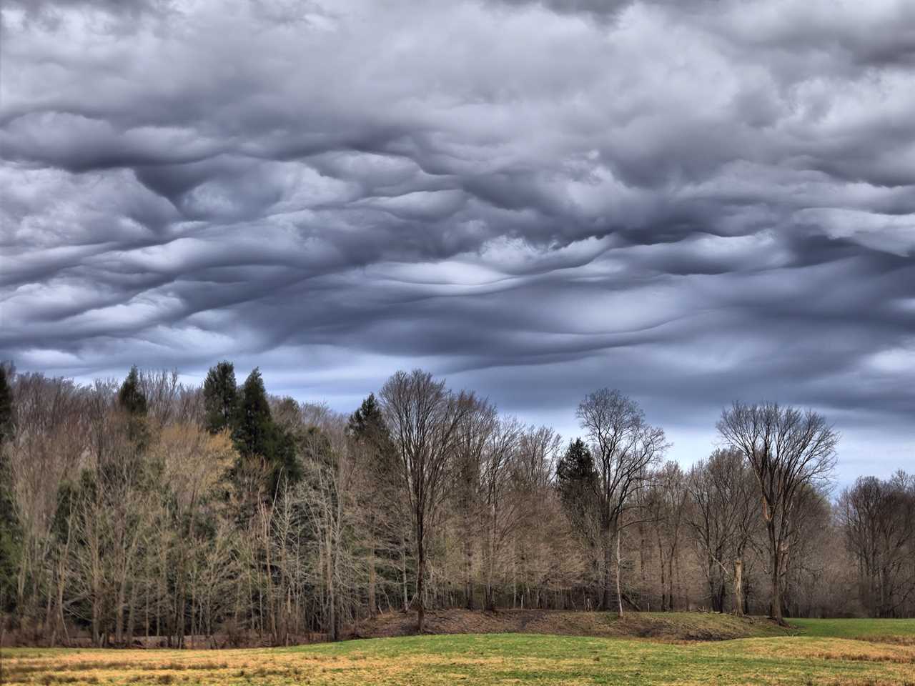 Undulating clouds