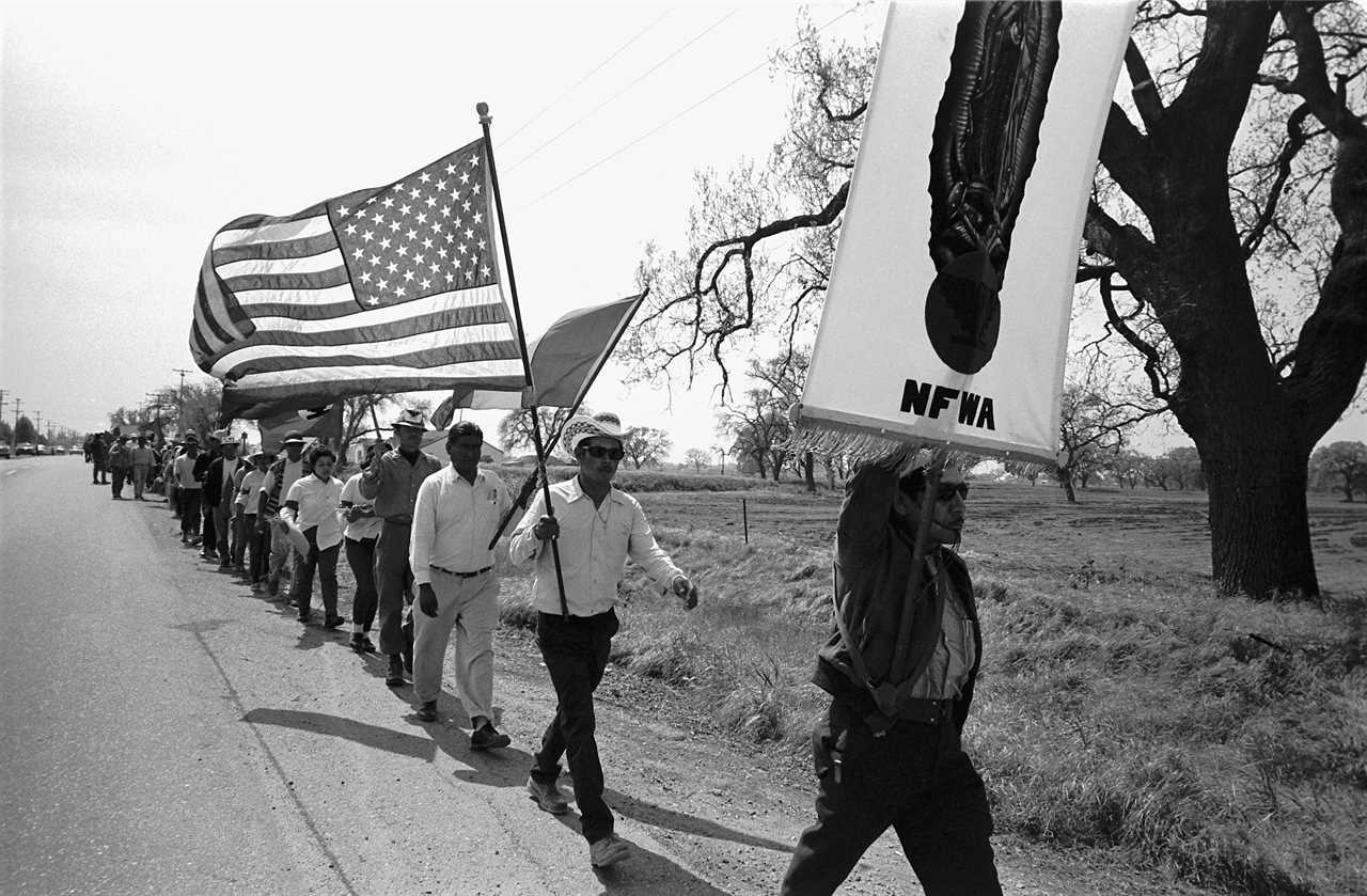 Grape pickers carry American flags and National Farm Workers Association banners as they march along a road