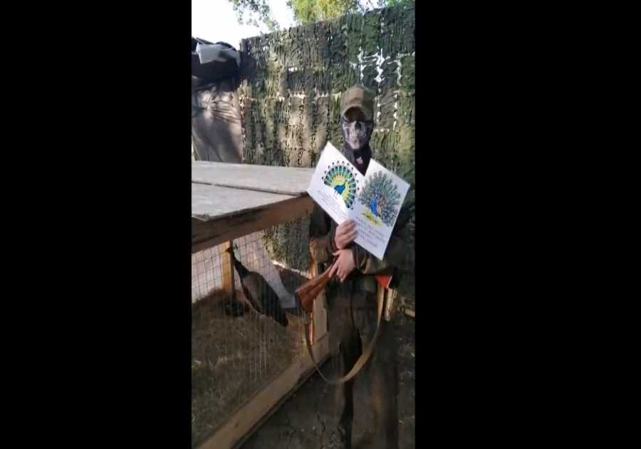 A Russian zoo said it sent peacocks to the front to 'inspire' troops. It deleted its post after people used it to mock Putin.
