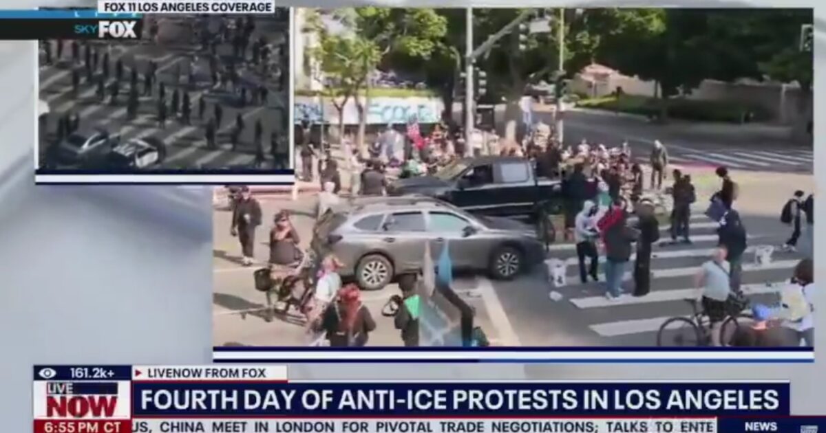 Pickup Truck Delivers Bionic Face Shields, Other Supplies to LA Rioters (Video)
