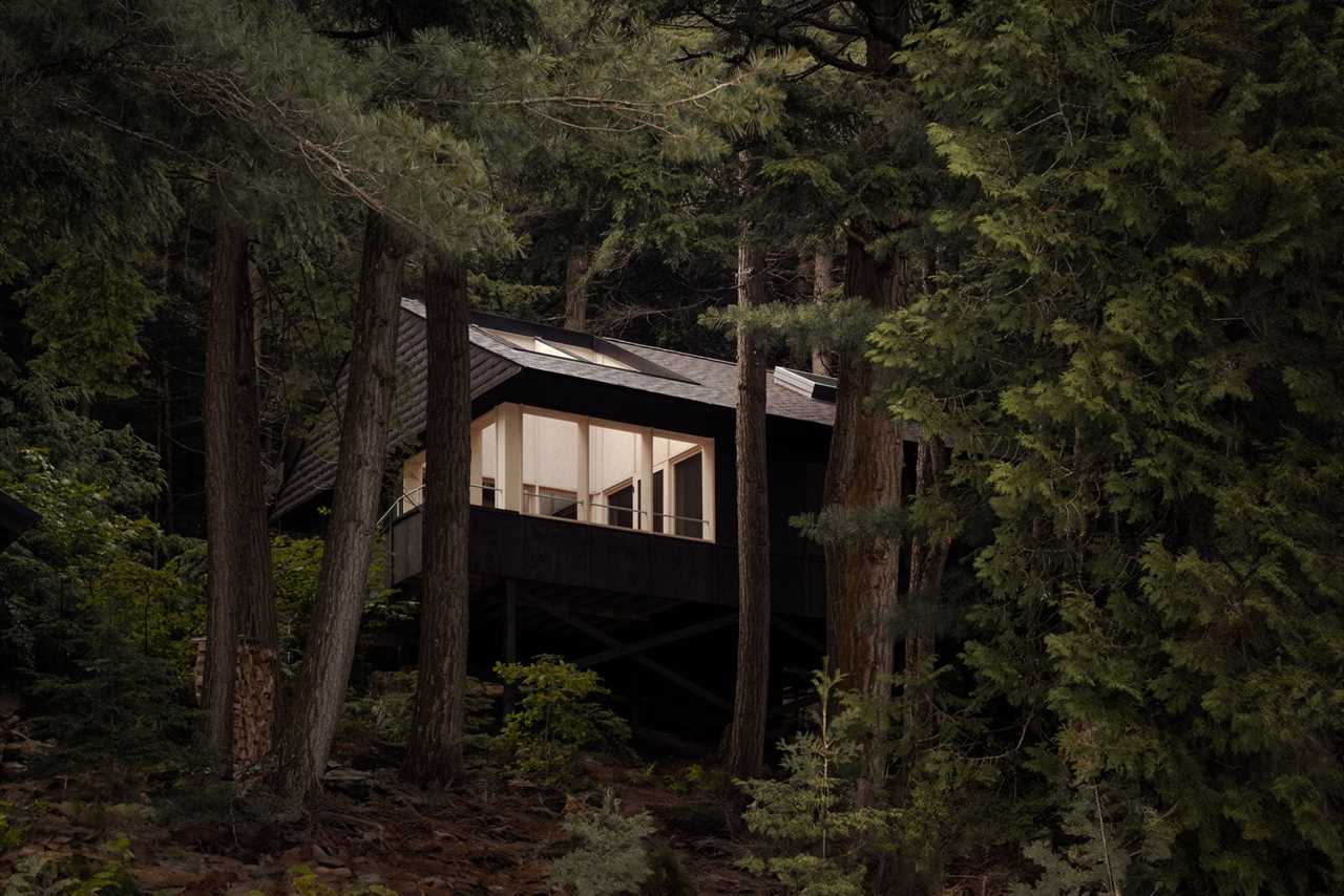 This Bunkie in Ontario Was Designed to Disappear Without a Trace