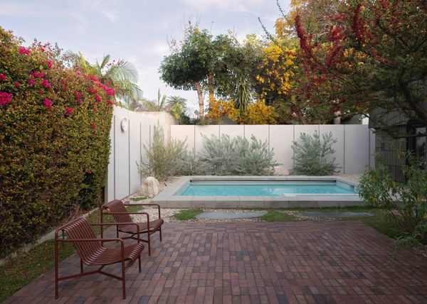 The ADU looks out onto the pool, whose wide coping creates both a hard edge against the softer vegetation and also a space to lounge.