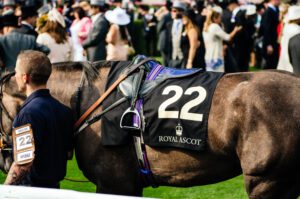 Tax changes ‘threaten future of horse racing’, warns parliamentary group