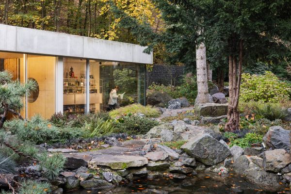 Expanses of Glass Immerse This Y-Shaped Home in Its Wooded Setting