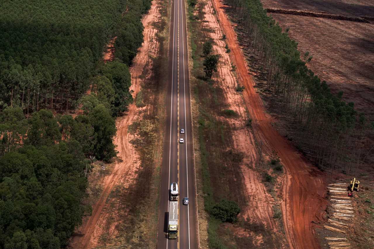 aerial view of the highway with trucks. On the right hand side trees are being felled and stacked by machines