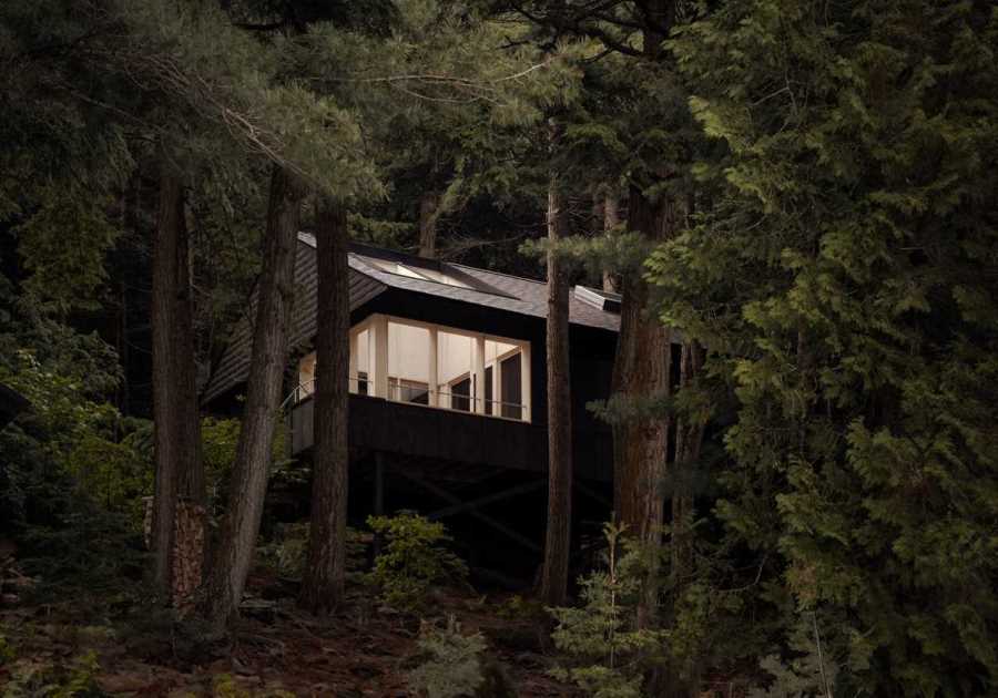 This Bunkie in Ontario Was Designed to Disappear Without a Trace