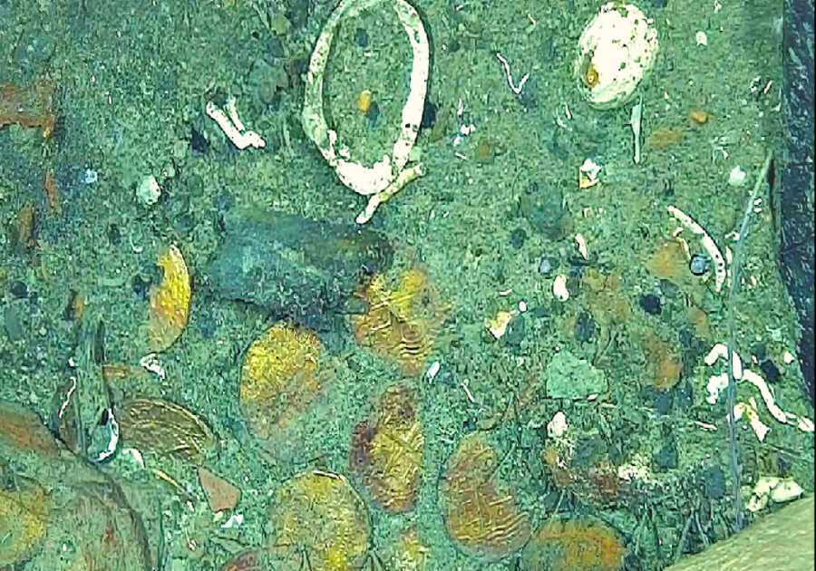 New Images From ‘Non-Invasive’ Study Show Golden Treasure From San Jose Galleon, the ‘Holy Grail’ of Shipwrecks That Sunk in the Caribbean