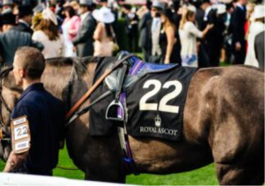 Tax changes ‘threaten future of horse racing’, warns parliamentary group