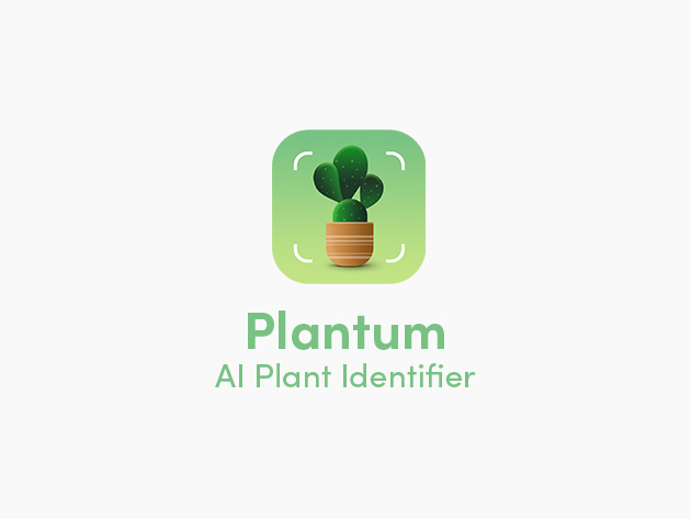 Even I, a serial plant killer, can keep my plants alive with this app