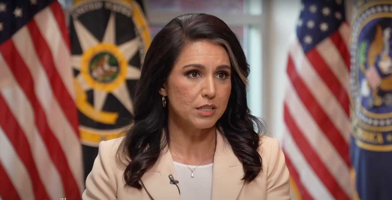 ‘Deranged Behavior’: Tulsi Gabbard Accuses Mainstream Media Reporter of ‘Actively Harassing’ Her Staff
