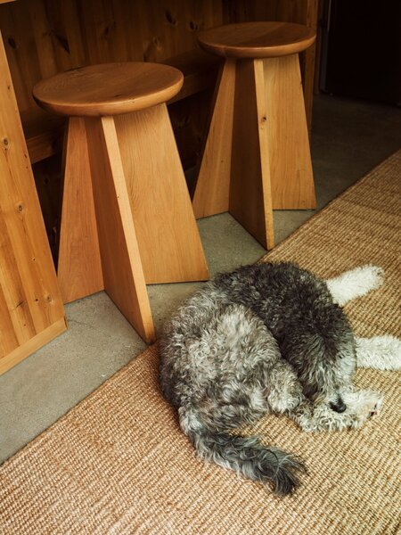 Molly’s dog, Bear, curls up on an Armadillo jute runner next to vintage stools that came from a Japanese restaurant that was closing.