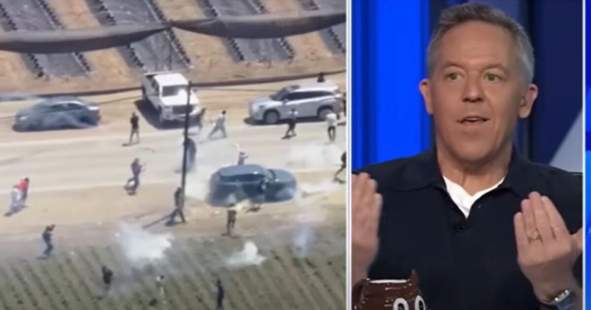 Greg Gutfeld: ‘The Modern Democrat Picks the Wrong Side in Every Contest – Imagine Watching Jaws and Rooting for the Shark’ (VIDEO)