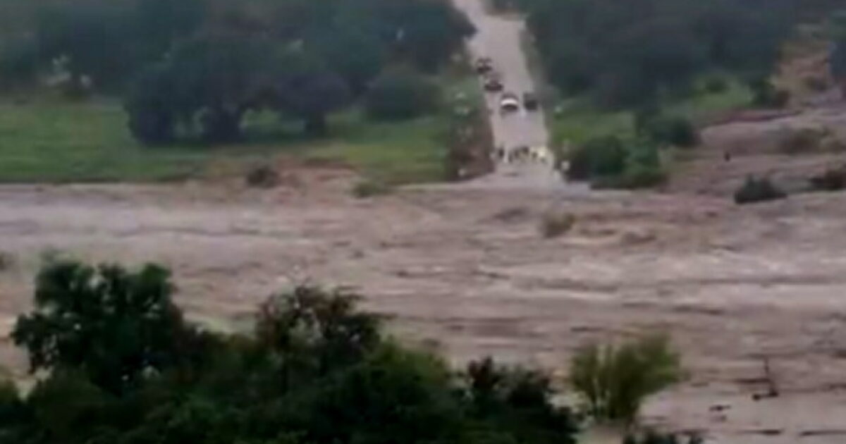 Backlash Over Cartoon Mocking Trump Supporting Victims of Texas Flood Causes Museum to Postpone Journalism Event