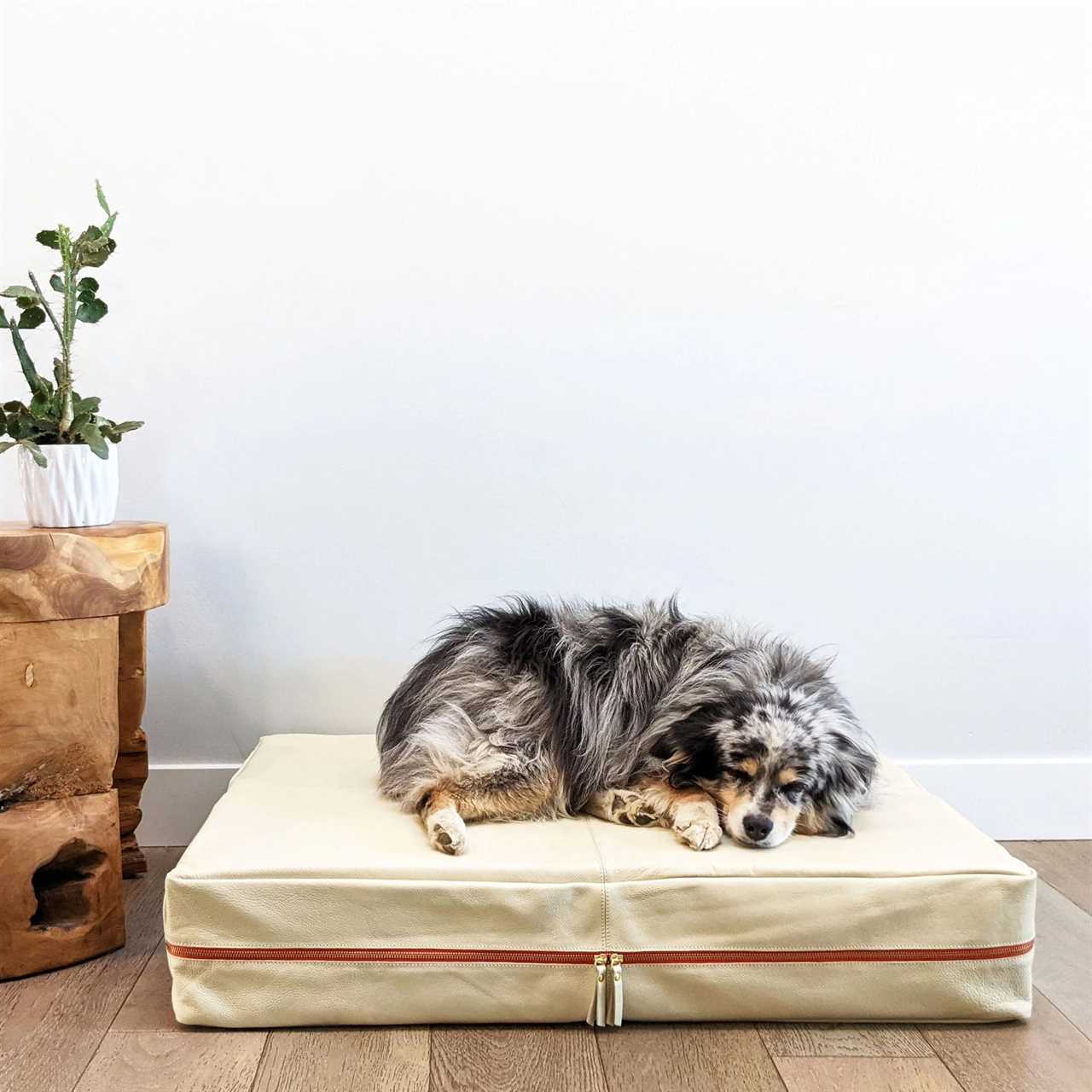 Stylish Dog Beds That Aren’t a Nightmare to Clean