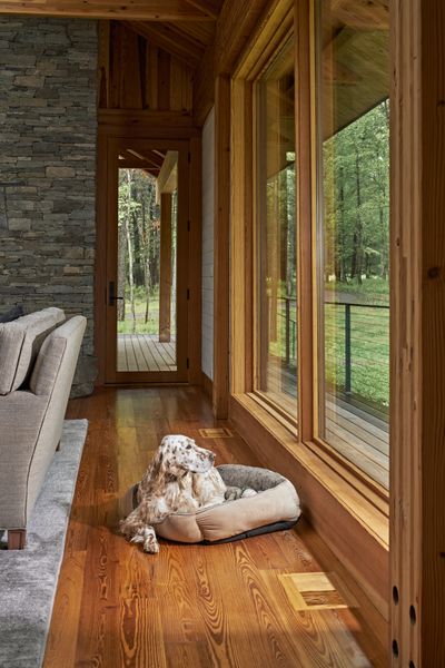 Inside the timber volume, living spaces unfold with long views through the trees—which are enjoyed by both the family and the family dog, Aspen. The elevation draws in northern light and allows the residents to feel immersed in the seasons without sacrificing comfort.