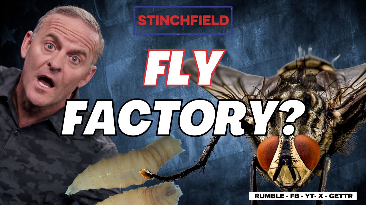 Fly-Pocalypse at the Border: Gov’t Engineered Sterile Flies Set to be Dropped on Texas! (VIDEO)