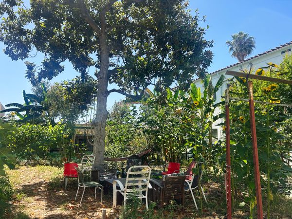 USTU’s shared garden.