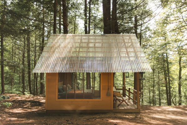 The cabin's clear roof allows for plenty of natural light and unparalleled views of nature.