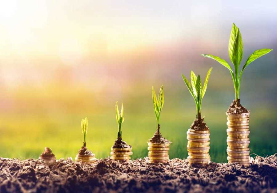 Smart Financial Solutions for SMEs