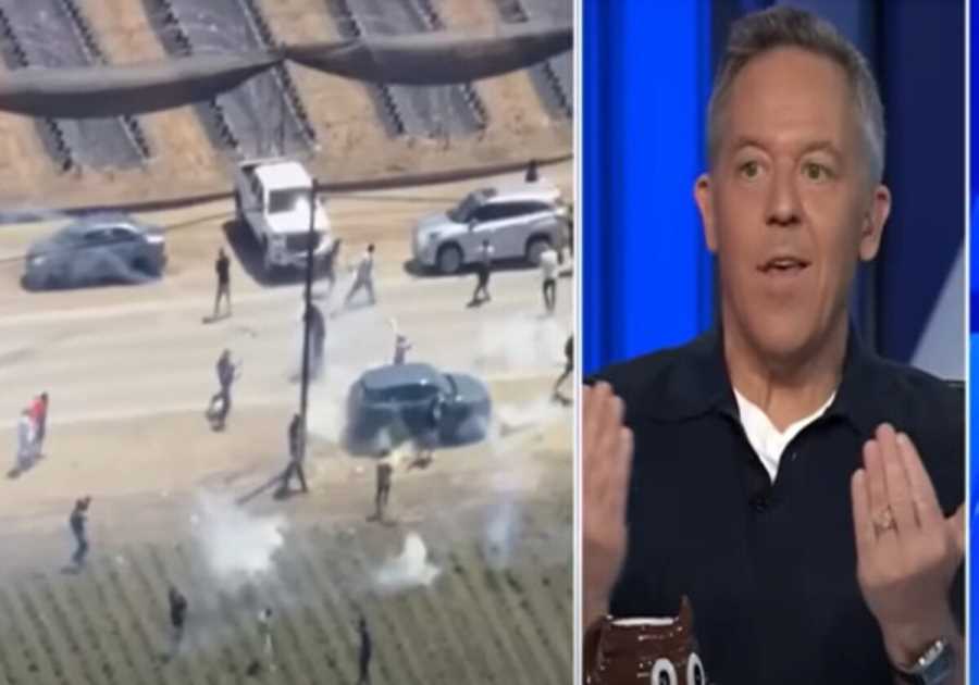 Greg Gutfeld: ‘The Modern Democrat Picks the Wrong Side in Every Contest – Imagine Watching Jaws and Rooting for the Shark’ (VIDEO)