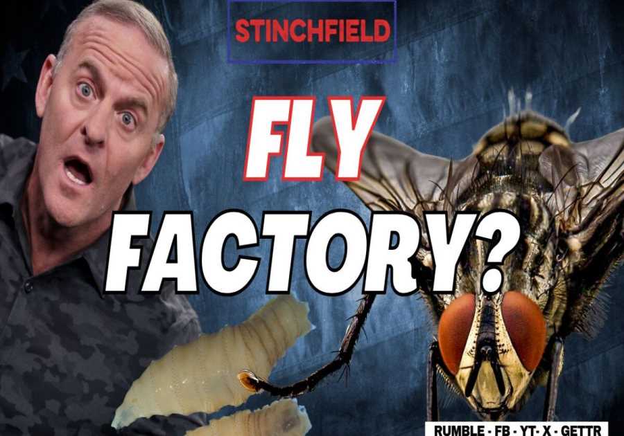 Fly-Pocalypse at the Border: Gov’t Engineered Sterile Flies Set to be Dropped on Texas! (VIDEO)