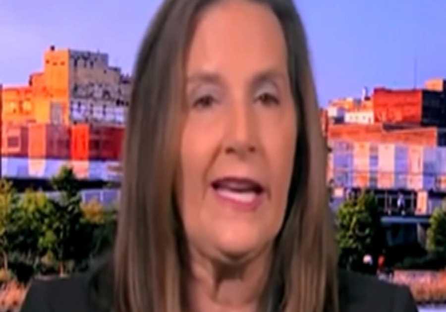 MSNBC Contributor Implies Violence Against ICE Agents is Justified: ‘Lawful Right of Self-Defense’ (VIDEO)