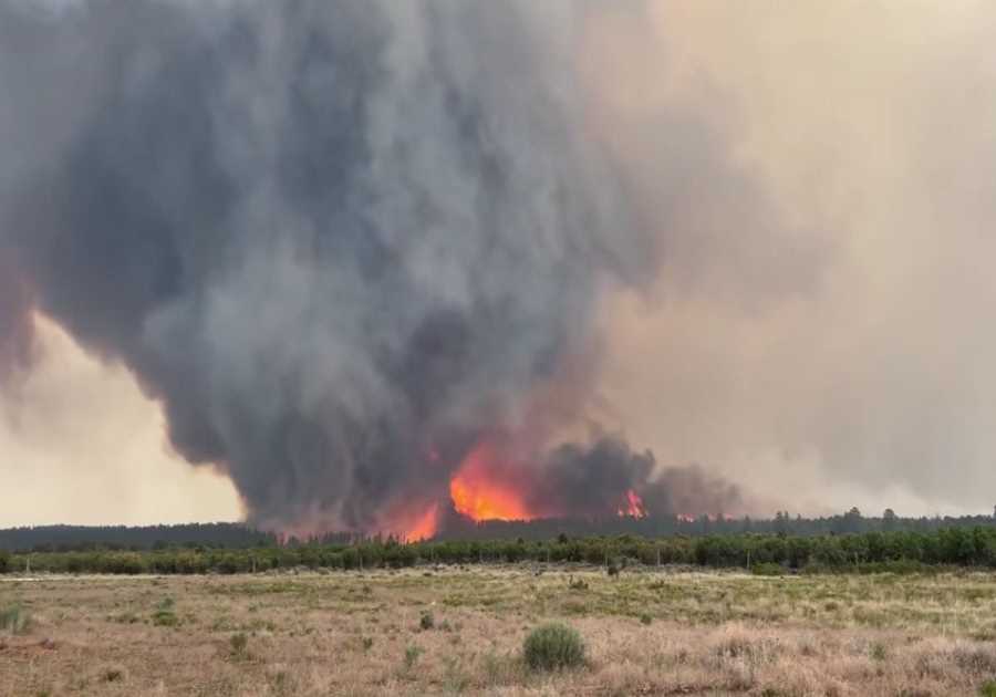 Watch: Rare ‘Firenado’ Captured on Video as it Cuts a Swath of Destruction