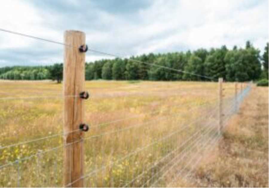Fields of fortune: Why farmland remains a tax-efficient safe haven — for now